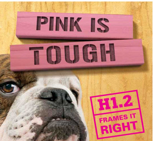 Cover of the Pink is Tough document