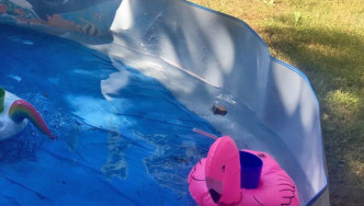 Child's swimming pool