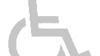 Disabled symbol - light grey
