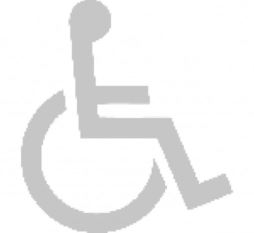 Disabled symbol - light grey