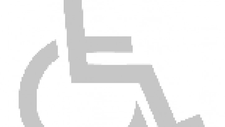Disabled symbol - light grey