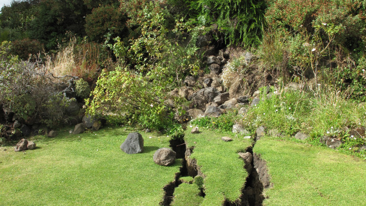 Earthquake cracks in a lawn