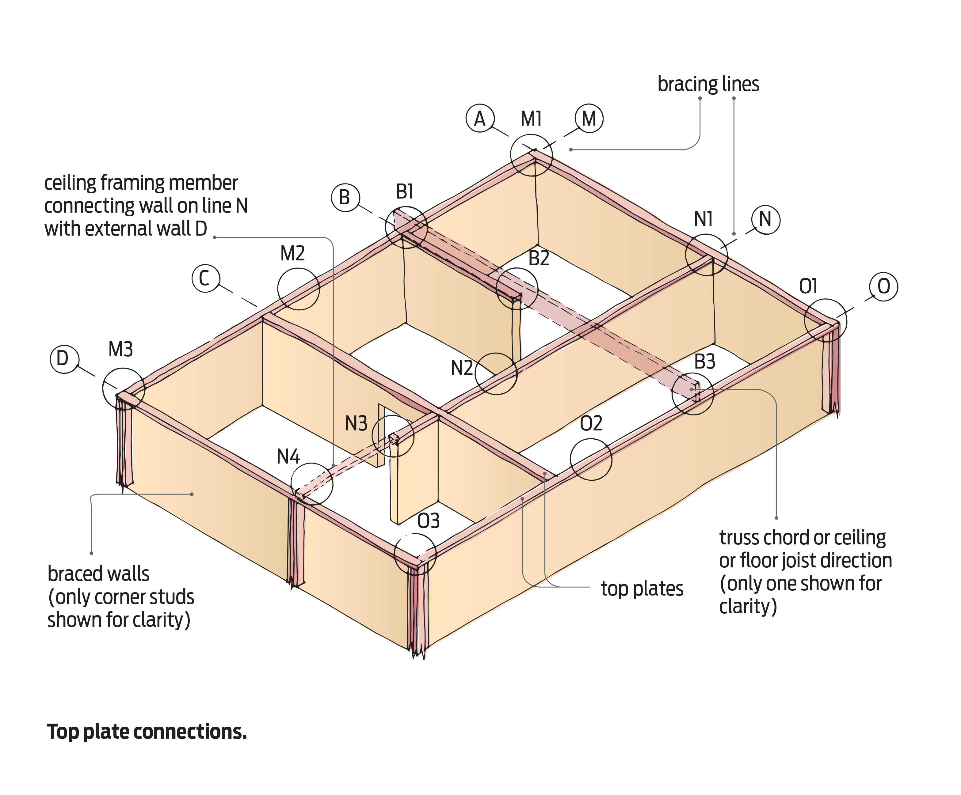 Top Plate Connections Building Performance