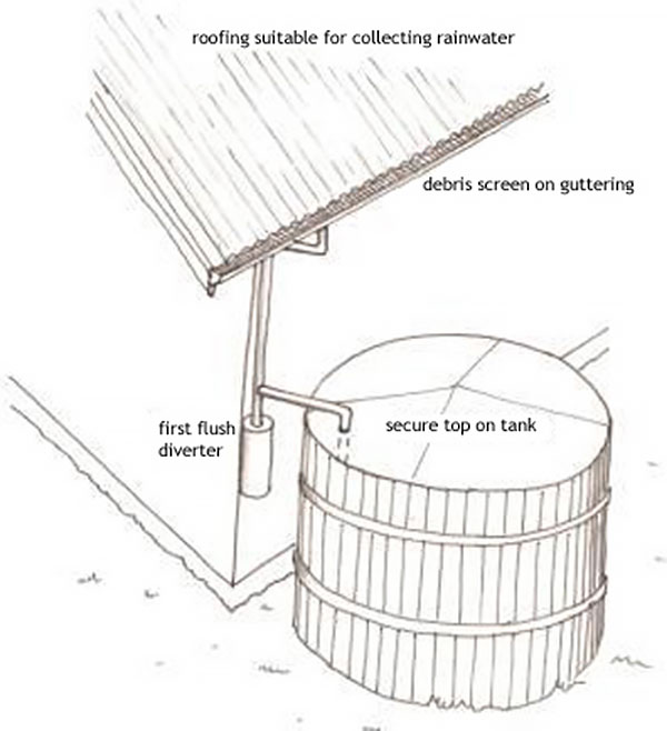Illustration showing a typical rainwater system set up to minimise contamination. It shows roofing suitable for collecting rainwater, debris screens on the guttering, a first flush diverter, and a secure top on the tank