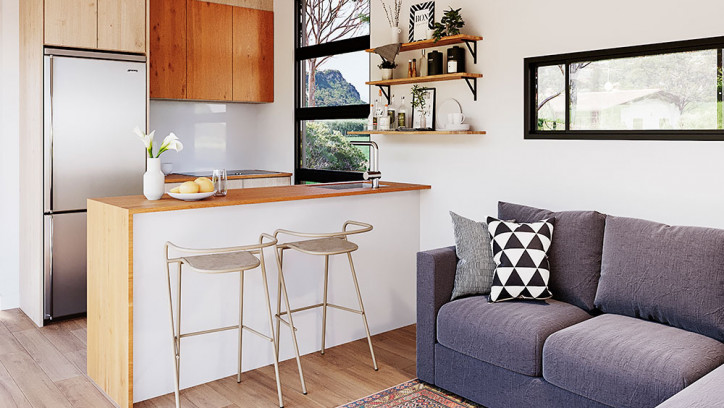 Modern kitchen in modern tiny home