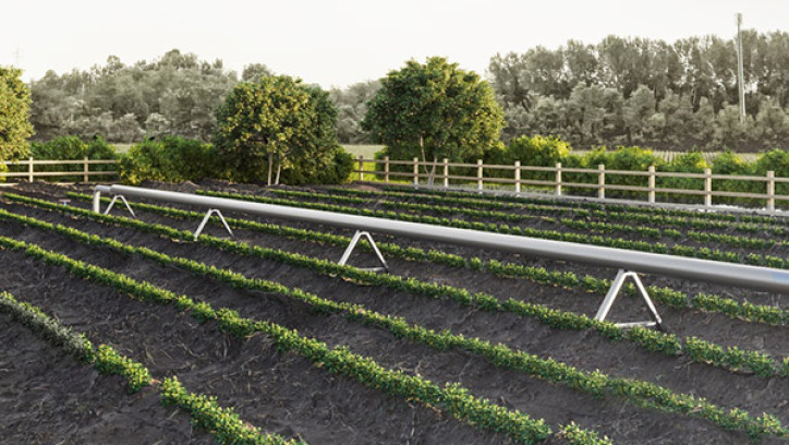 Irrigation pipes in cultivated fields